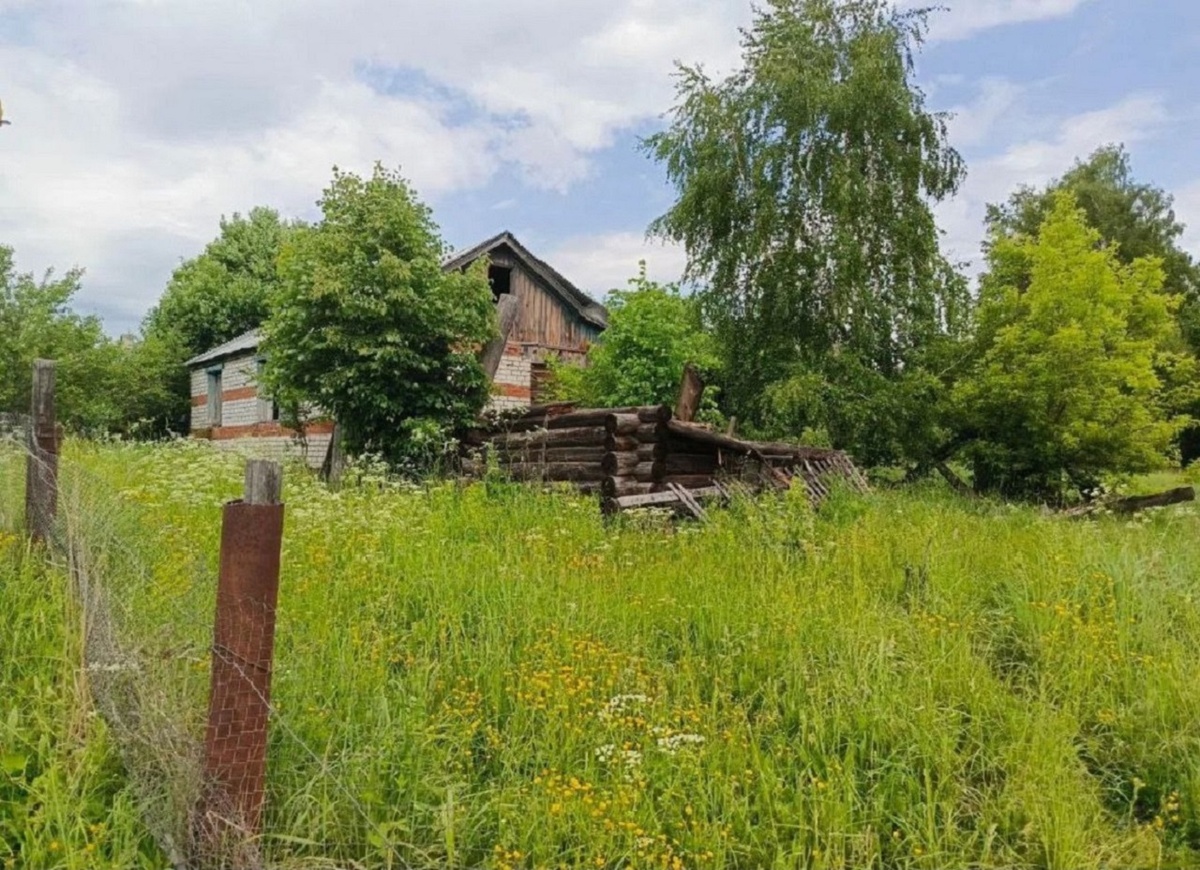    От межевания до газификации: "Житейский вопрос" расскажет о кадастровых работах в СНТ