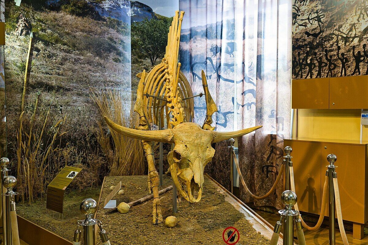 Азовский музей-заповедний. Alexxx1979 / Wikimedia