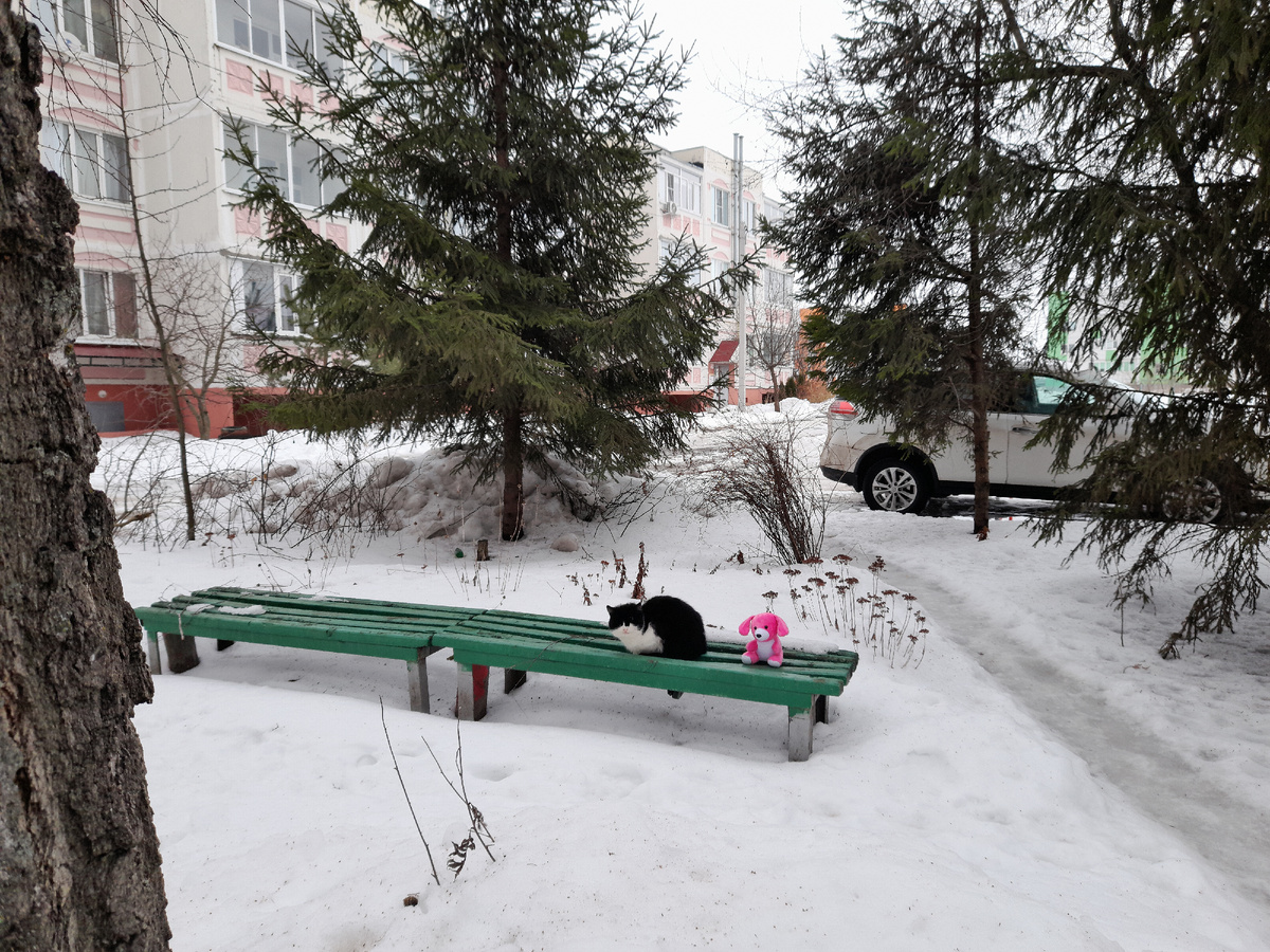 Розовый Плюша уже пересел на лавочку и нашел себе друга. Переговариваются сквозь зубы: что это за тётка странная нас пасёт?- Да не не паникуй, к вечеру на Дзен заходи - там тебя и меня будут показывать.