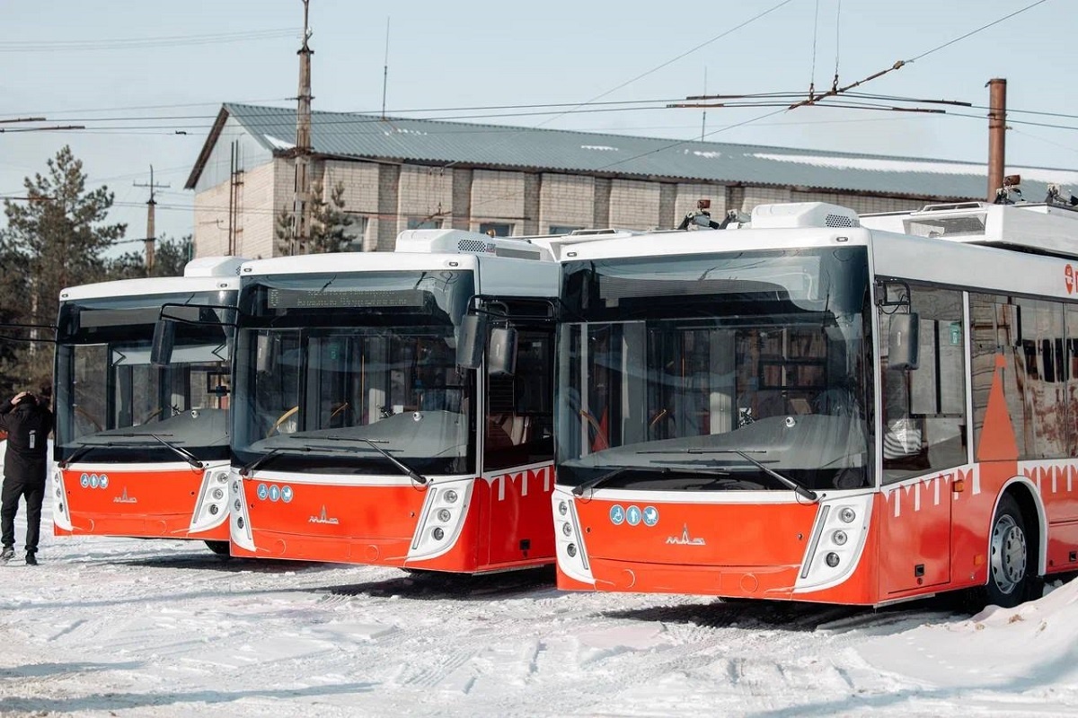    Фото: Tg-канал Александра Новикова