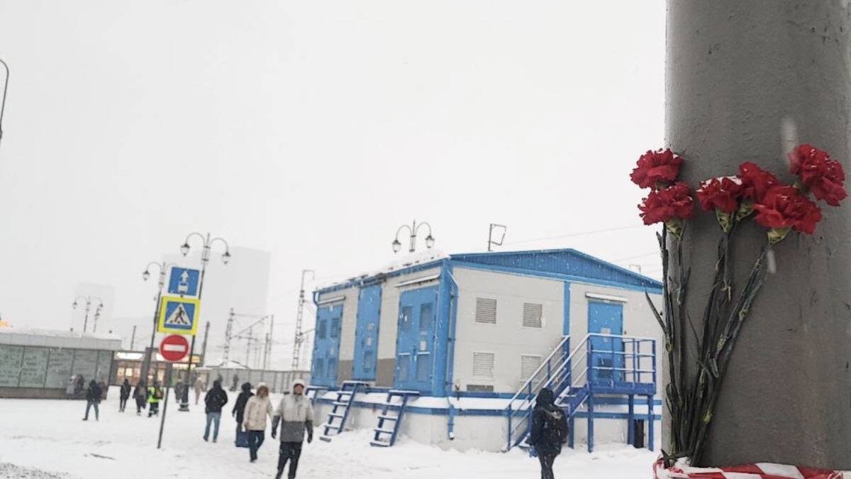    Фото: Вечерняя Москва