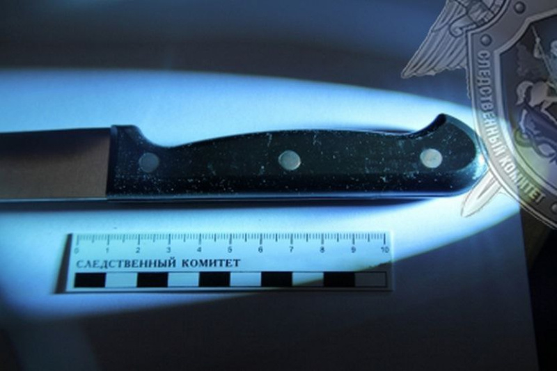 Фото: СУ СКР по Костромской области