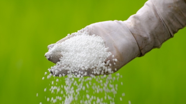 Мочевина — проверенное азотное удобрение для первого внесения