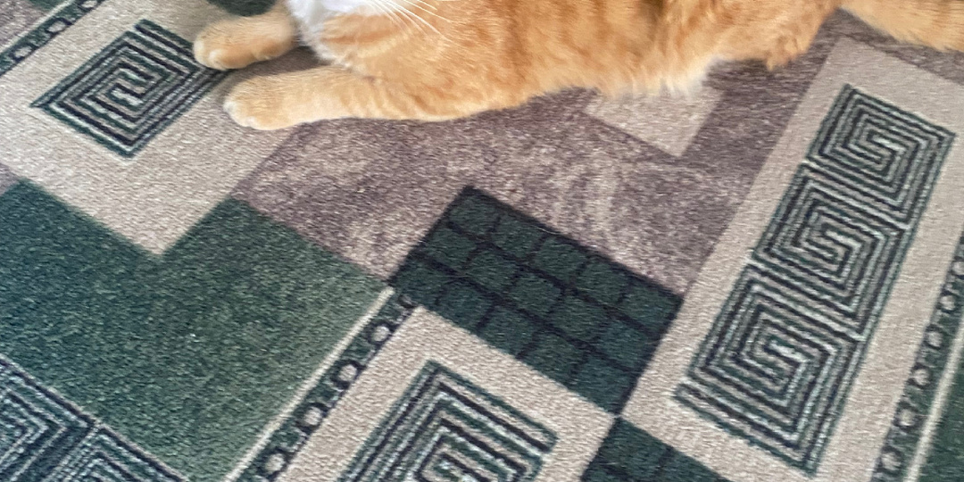 4 марта. Обо всём по чуть чуть.