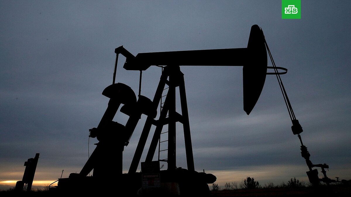    Фото: LARRY W. SMITH / EPA / AP