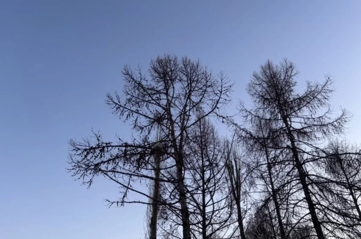    На месте работают оперативные службы.