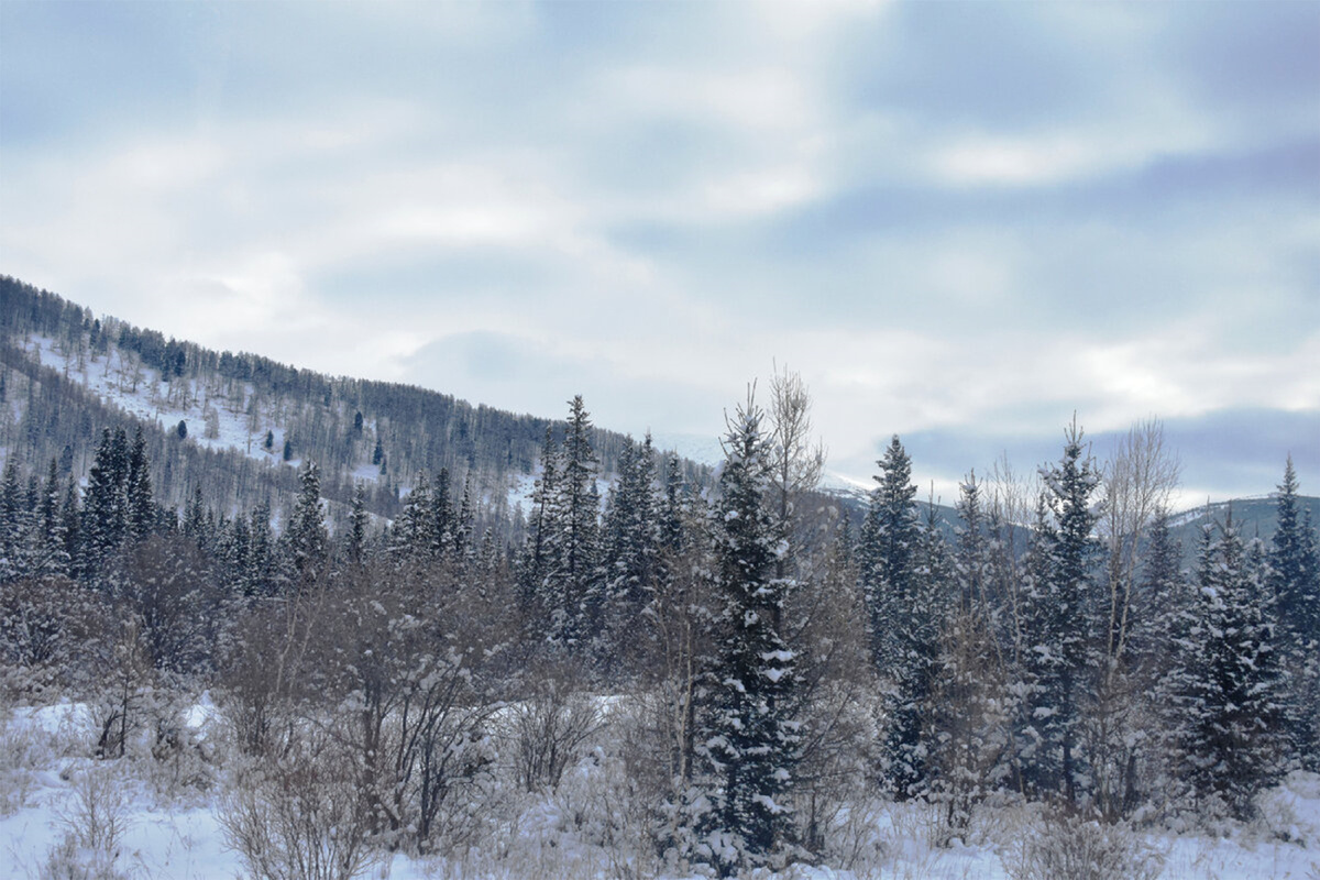 Ландшафты вблизи села Мыюта