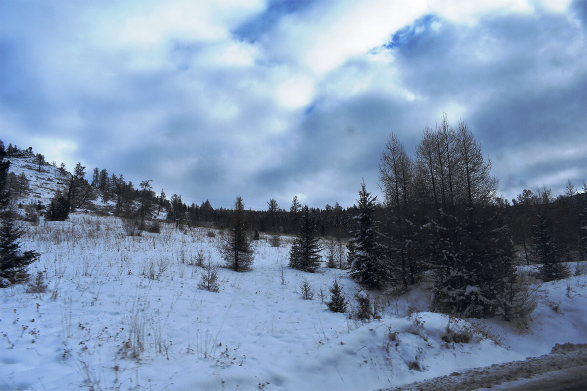 Еловые, пихтовые, лиственные леса на подъеме на перевал