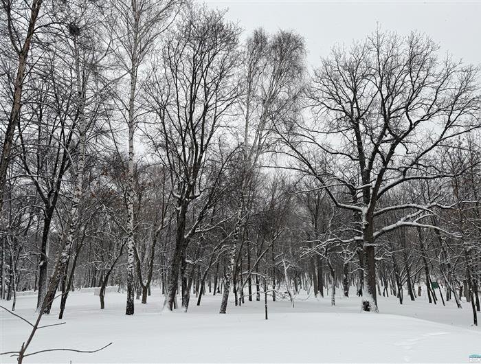    ФОТО: Белова Александра