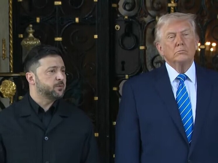     Владимир Зеленский и Дональд Трамп. Фото: кадр из видео.