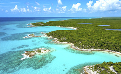 Изображение создано с помощью нейросети