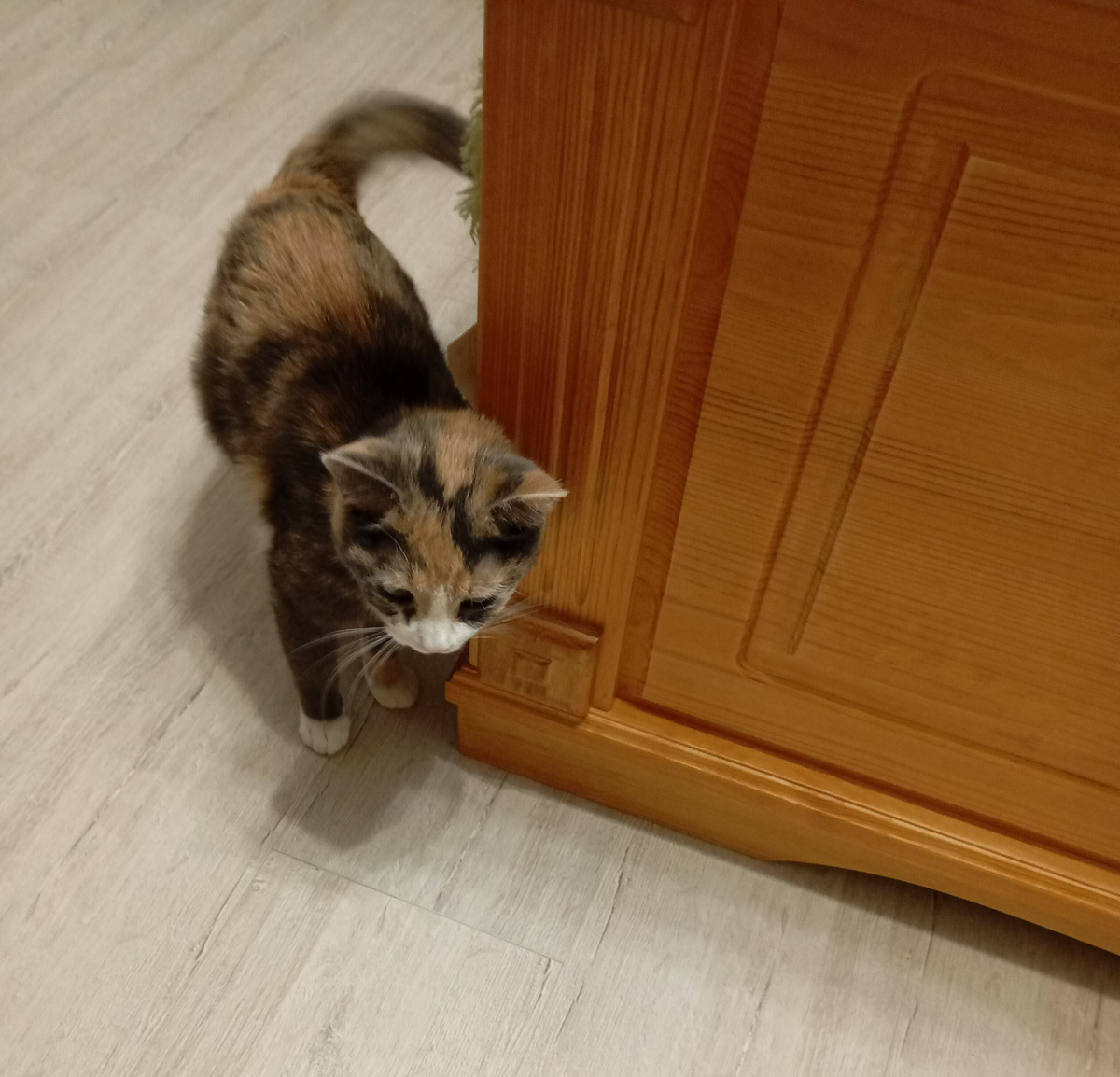 Фотография автора