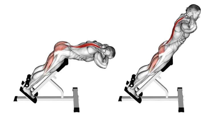 Сила вашего стержня: Лучшее упражнение для мощных разгибателей позвоночника.