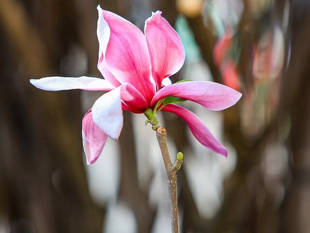    Фото: Москва 24/Лидия Широнина