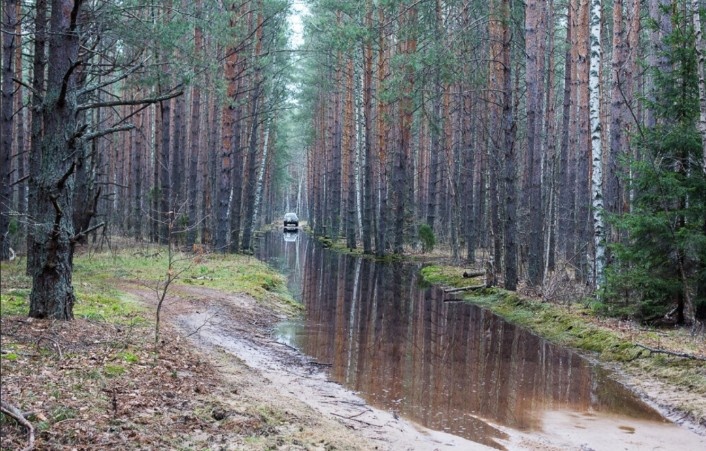 Мы подъезжаем к дому, когда ночью заморозок сковывает землю льдом .