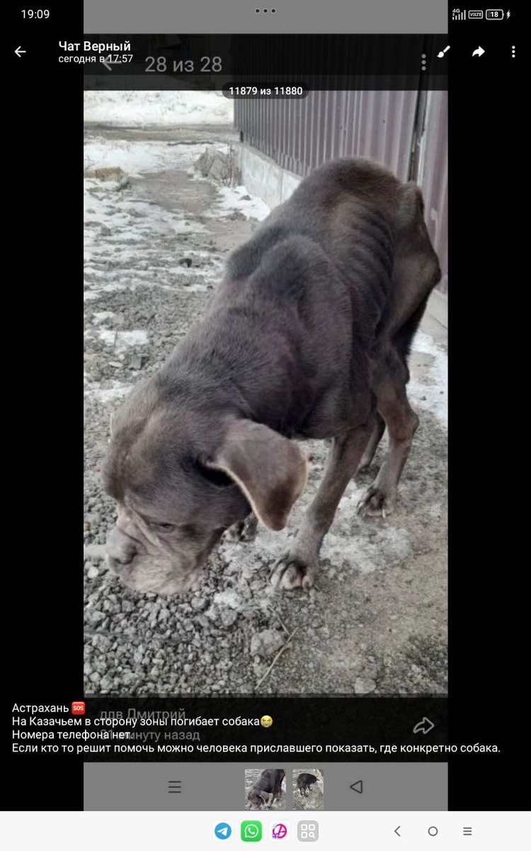 Вот такой пост был в Телеграмм