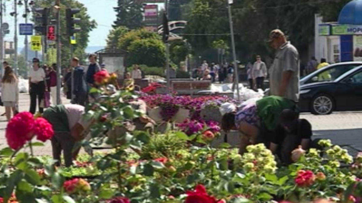    Губернатор поручил пересмотреть контракт по озеленению Курска