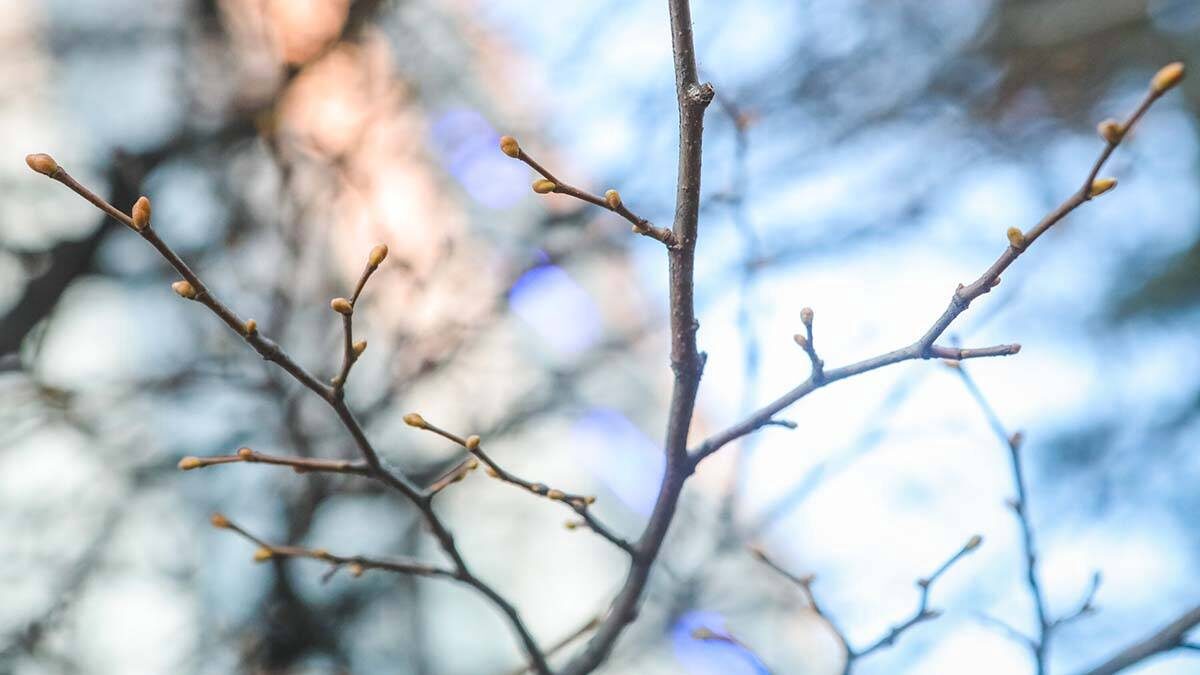    Фото: Софья Сандурская / АГН Москва