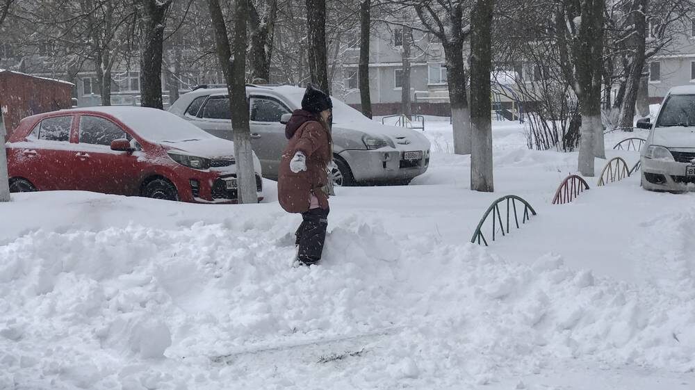    Фото: "Брянские новости"
