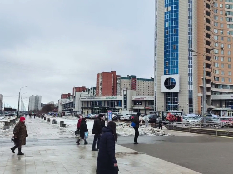     Фото: МК в Питере / Наталья Ефимова