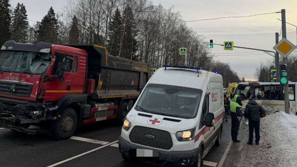    Фото: Прокуратура Московской области / Telegram