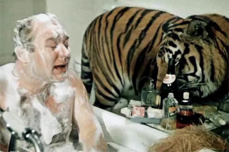 Кадры из комедии СССР Фетина «Полосатый рейс» 