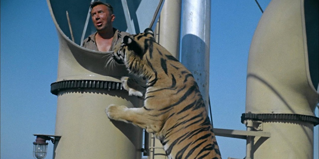 Как животные удирали со съемок фильмов: 6 ярких случаев