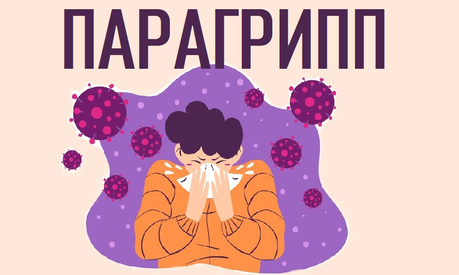 Парагрипп