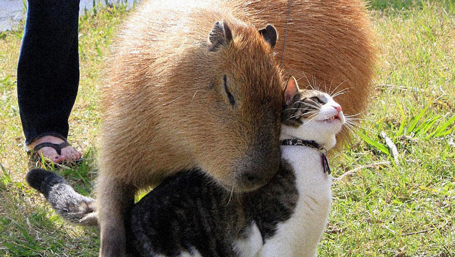 instagram.com   📷