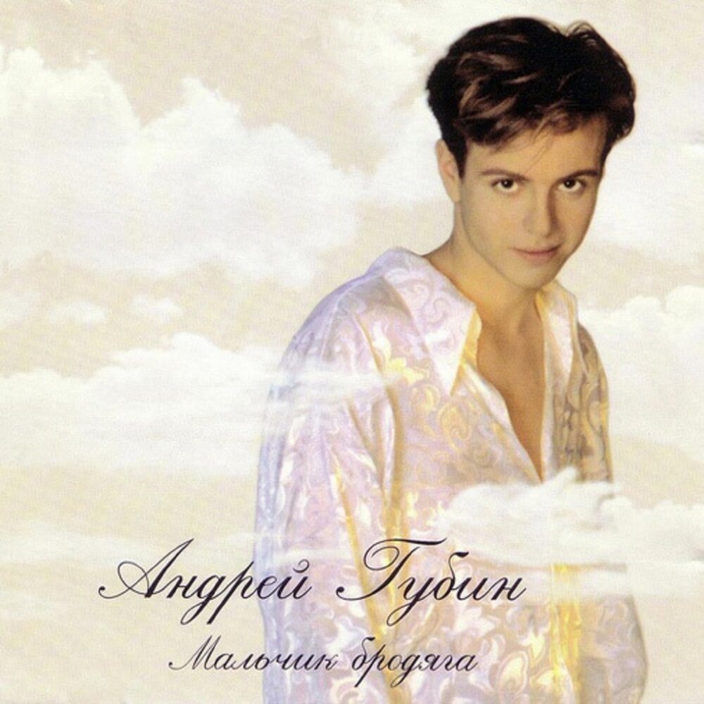 Андрей Губин - Мальчик-бродяга