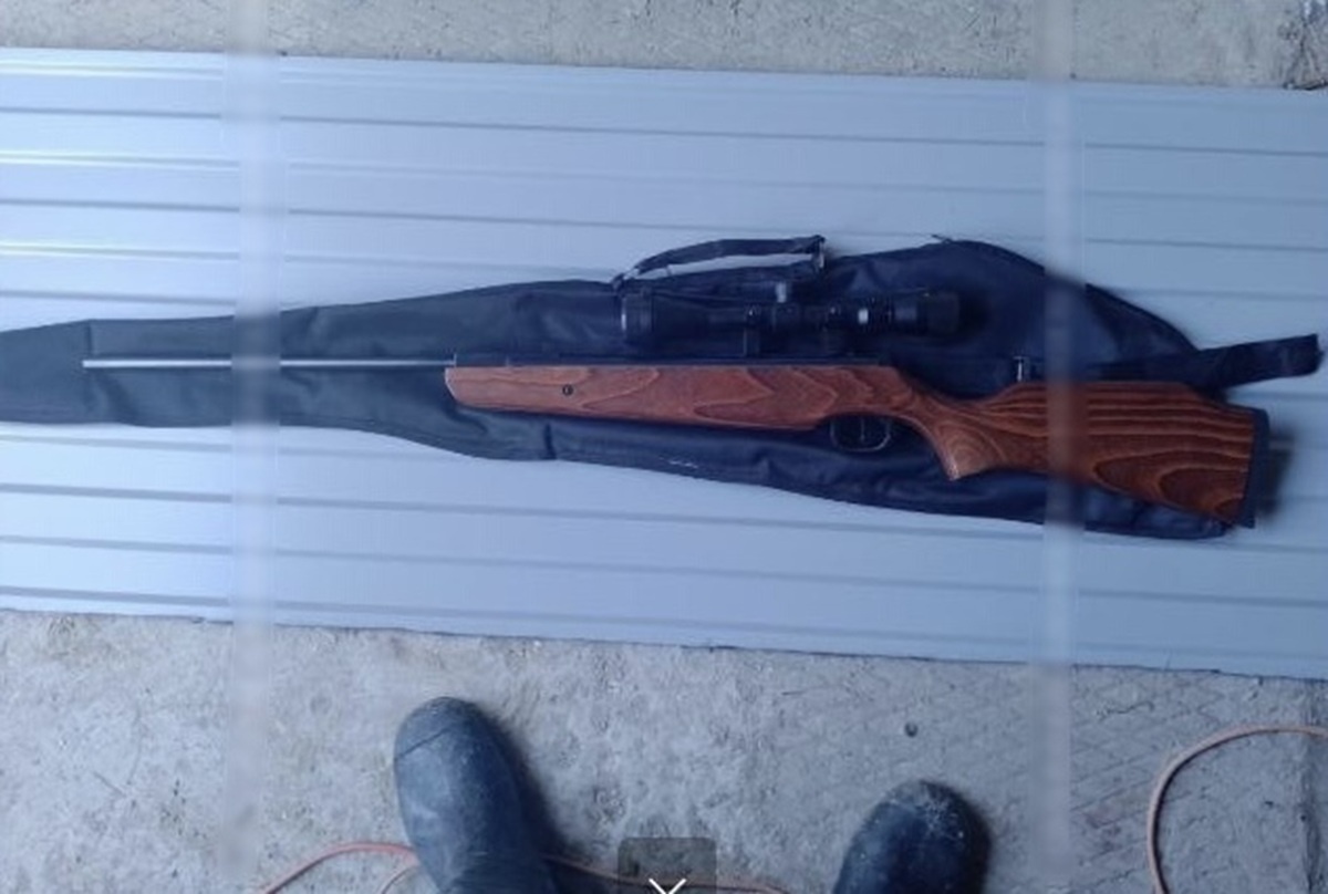 Фото: пресс-служба Управления на транспорте МВД России по УрФО  📷
