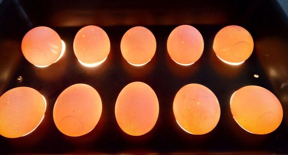    Министерство сельского хозяйства и продовольствия МО