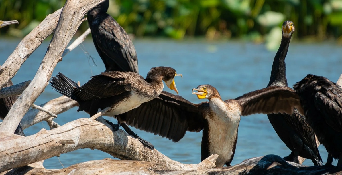 Пресс-служба Астраханского ГПЗ