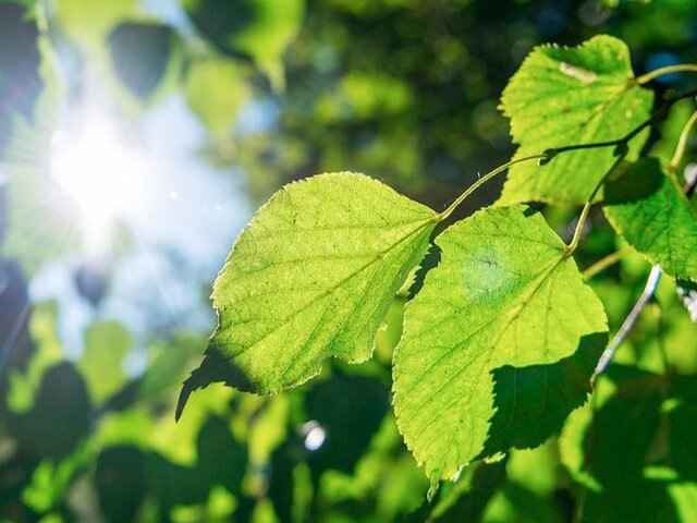    Фото: портал мэра и правительства Москвы