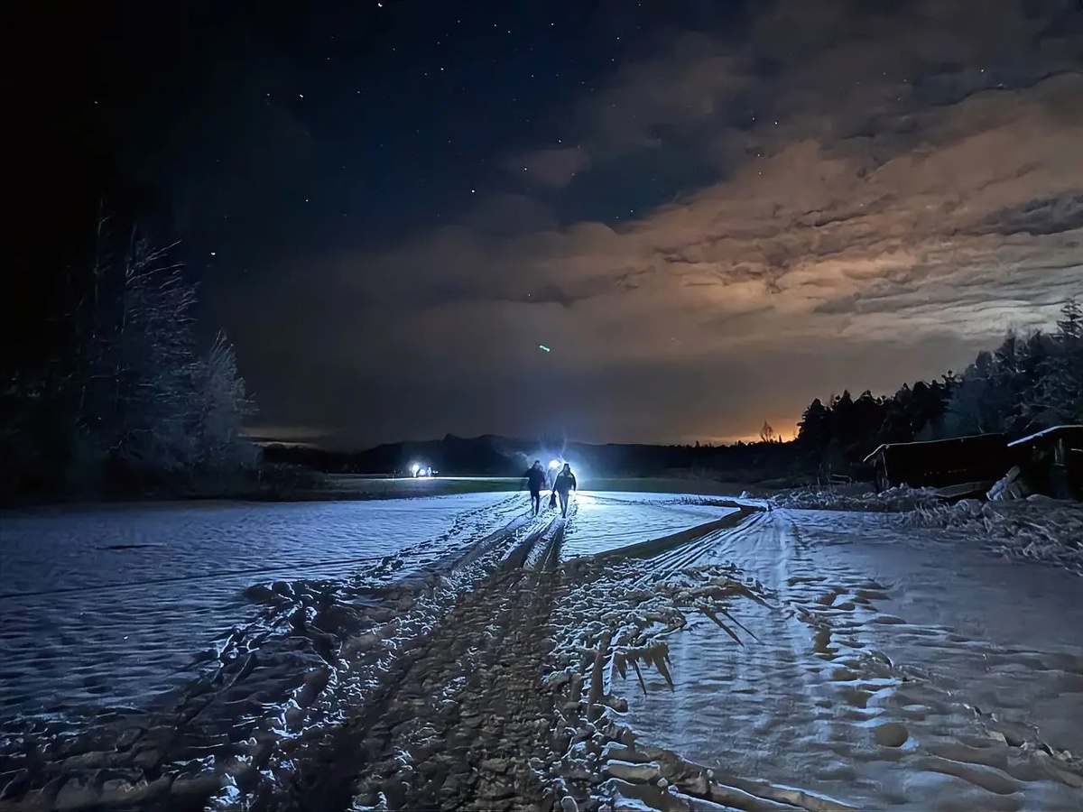    фото: © «ЛизаАлерт»