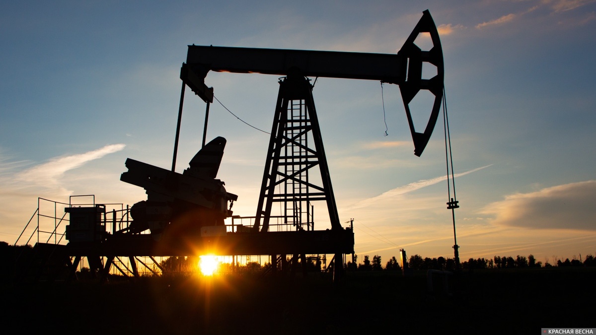     Нефтедобыча   
Павел Редин © ИА Красная Весна