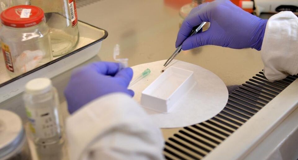    РИА «Новости»