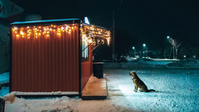    Фото: Freepik.com