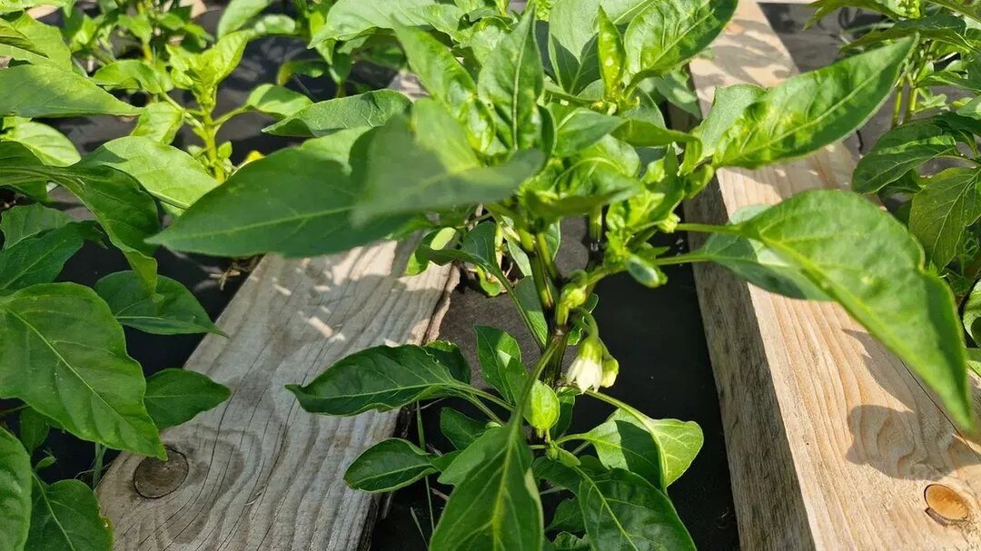 Фото: REGIONS/Наталья Надточая