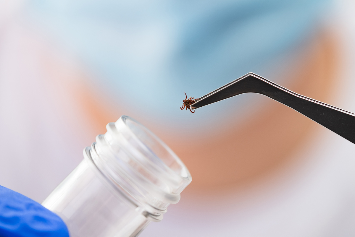 Фото: Shutterstock