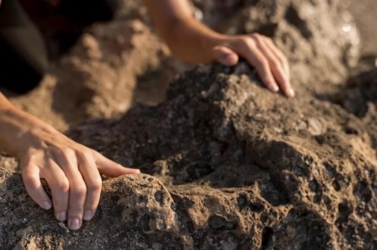    Бывший глава села в Северной Осетии раздал землю родственникам