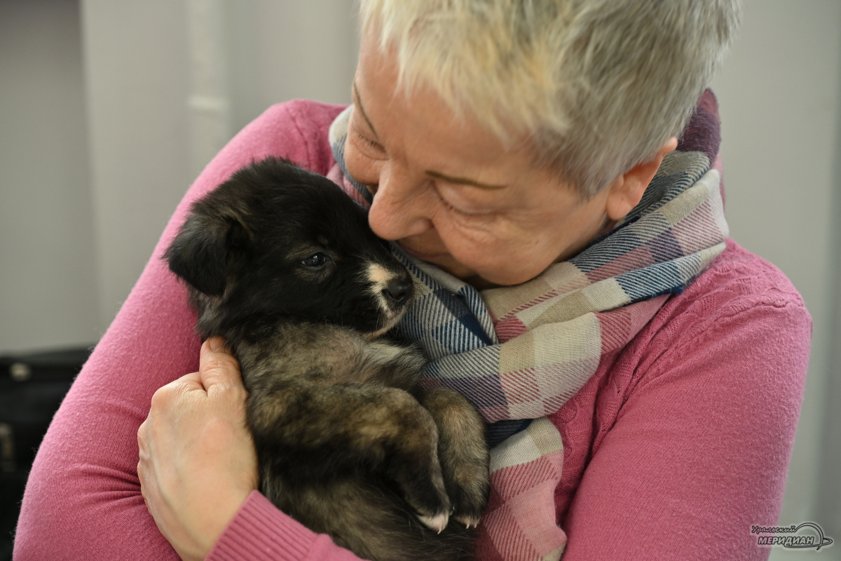    Фото: Анастасия Сибирякова © ИА «Уральский меридиан»