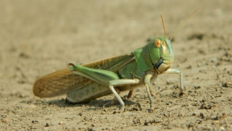      Фото: Юлия Яковенко / Личный архив