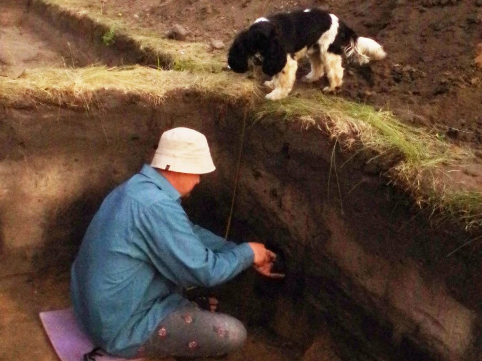 Почвовед А. Якимов отбирает образцы почвы из культурного слоя поселения бронзового века.
Фото из архива Е. Куприяновой