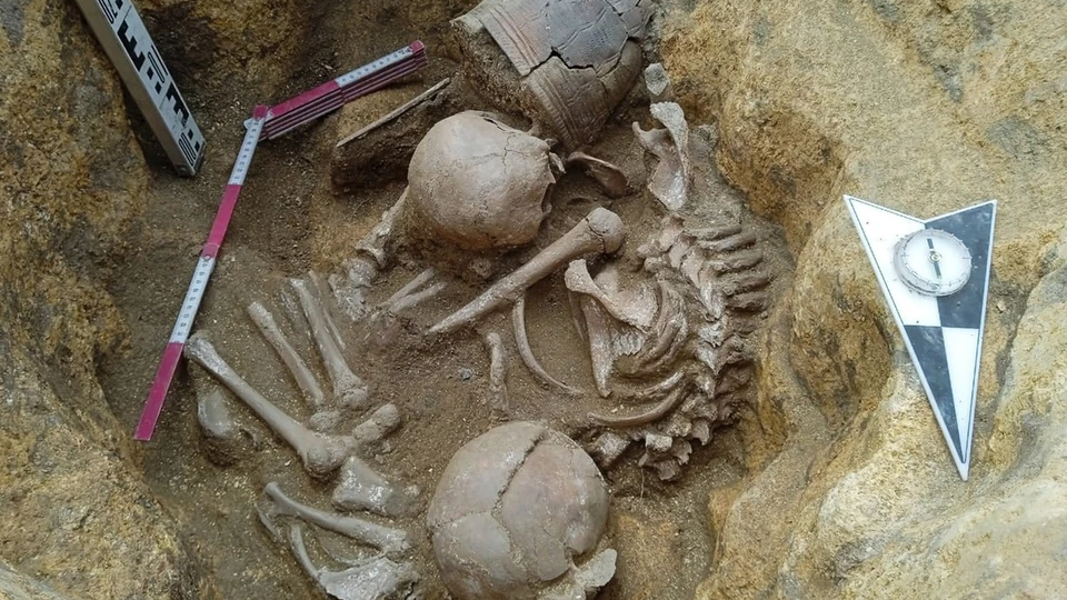 Даже земля — источник информации