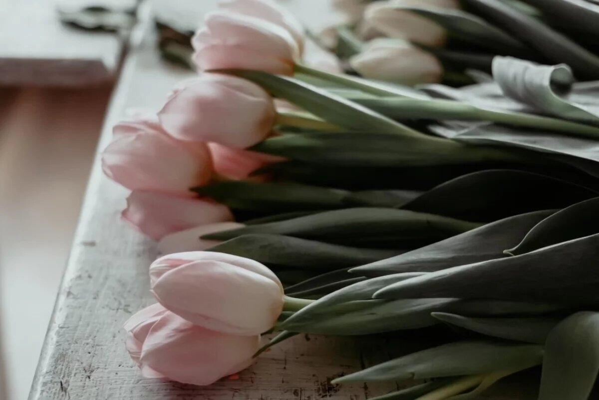    Женские выходные.