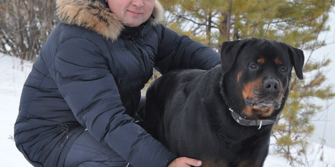 На посту у магазина. Прогулки с ротвейлером.