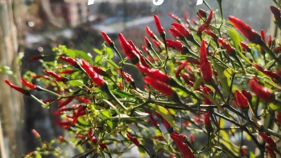 "Доброе утро" хотела я вам всем пожелать два часа назад, а потом началось