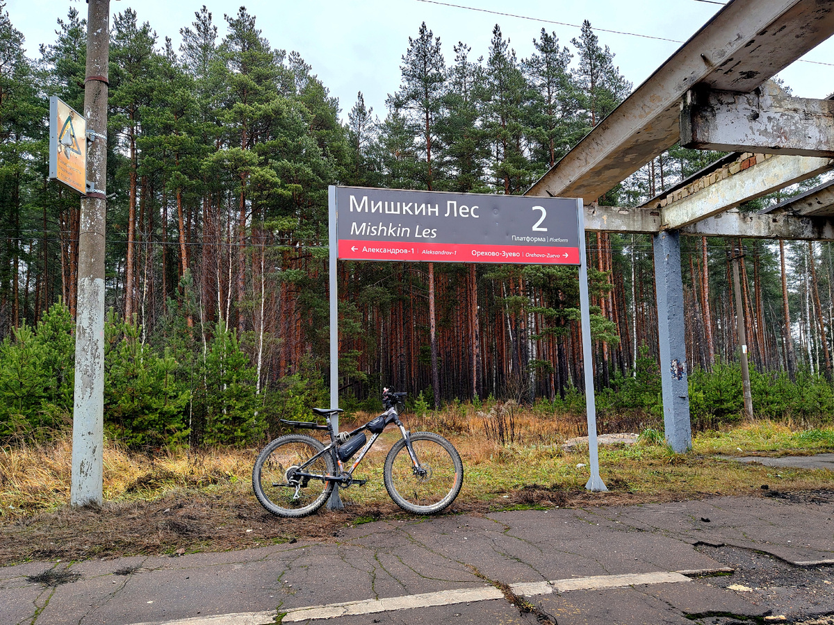 Платформа "Мишкин Лес"