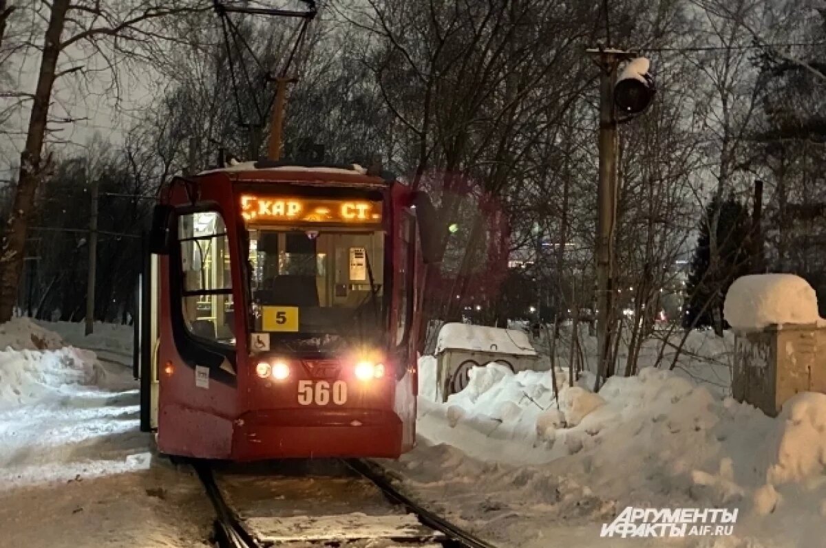    4 марта в Ижевске возобновили работу транспорта после угрозы атаки БПЛА